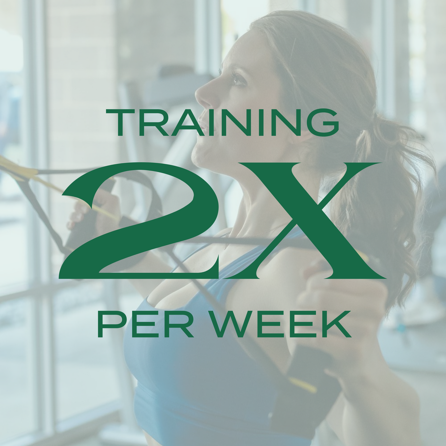 Physique + Performance PREMIUM