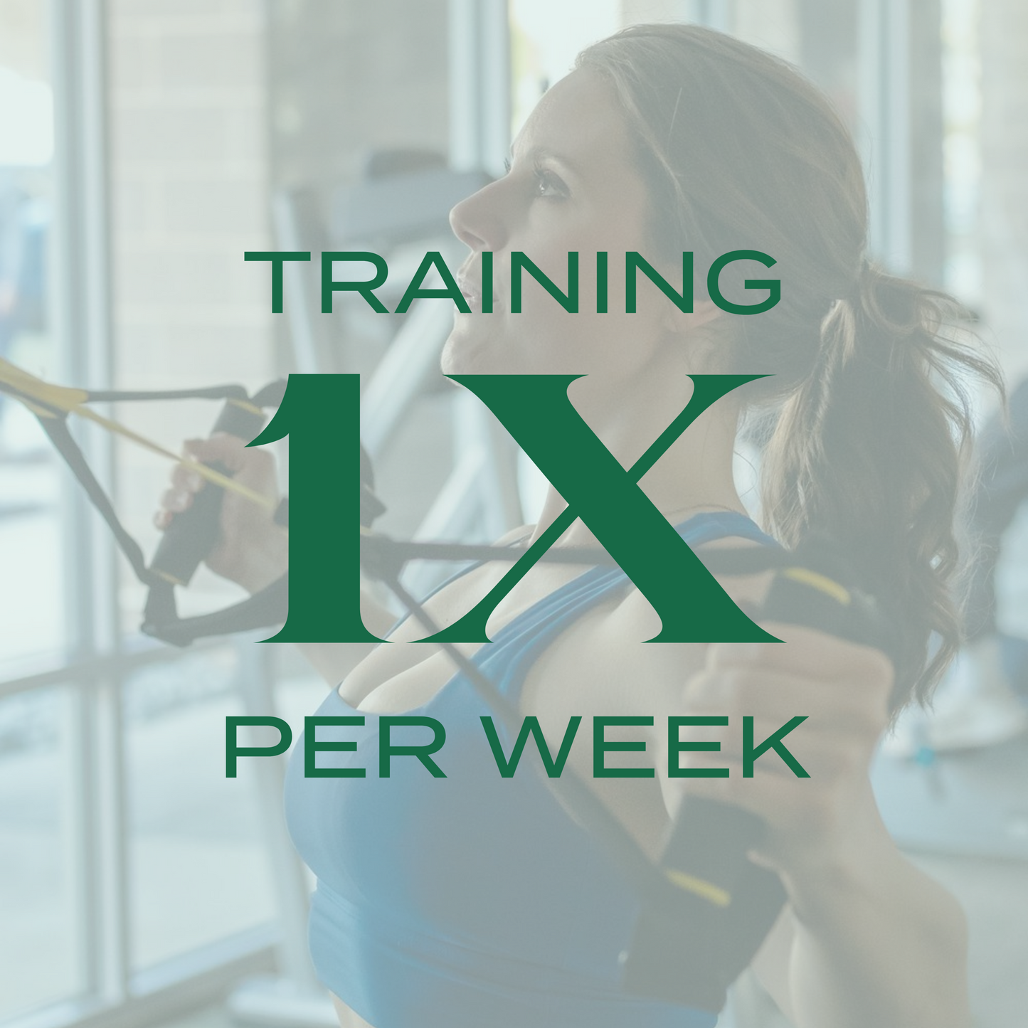 Physique + Performance PREMIUM